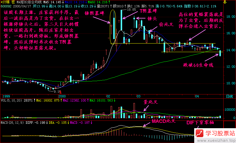 100.锤阴墓碑 100.锤阴墓碑
